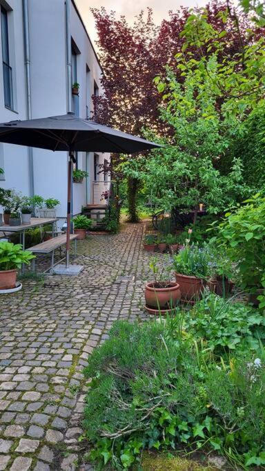 Gute Lage, 3 Raeder, Gruen, Familien Apartment Trier Exterior photo